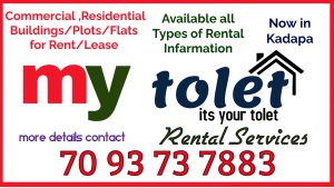 my tolet- rental services